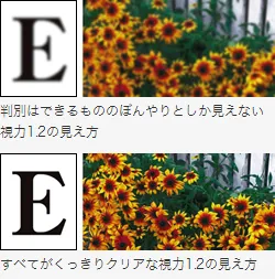 特徴1　「見え方」の“質”まで高めることを可能にしました